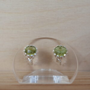 Ohrschmuck