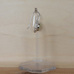 Ohrschmuck