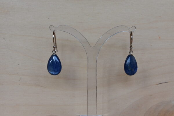 Ohrschmuck