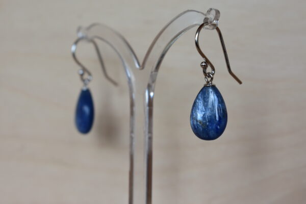 Ohrschmuck