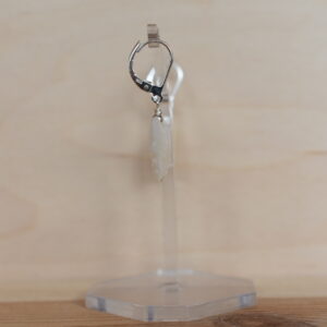 Ohrschmuck